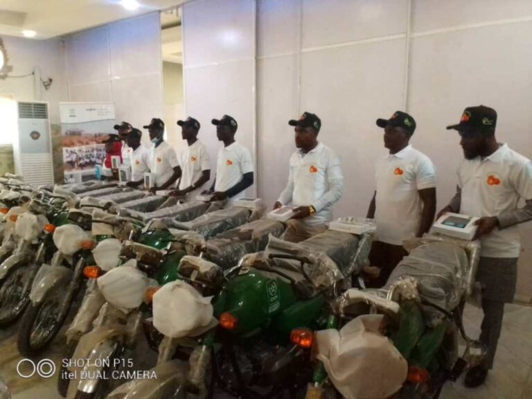 OCP, SFSA Moves to Boost Tomatoes Production to Enhance  Food Security  In Nigeria