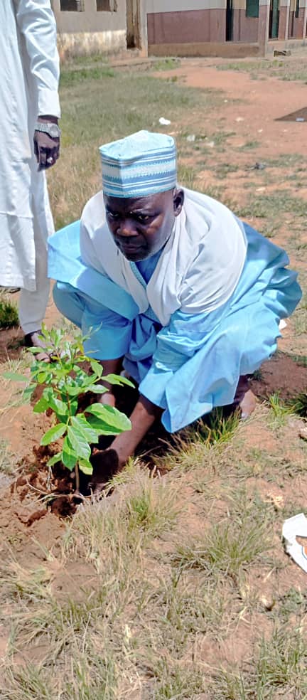FITILAR JAMA’AR BICHI LUNCHES TREE PLANTING CAMPAIGN.