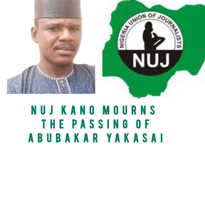 InShot_20250222_105706464